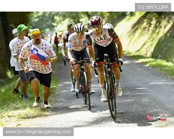 波加卡再夺环法赛段冠军温格高稳守总成绩领先优势