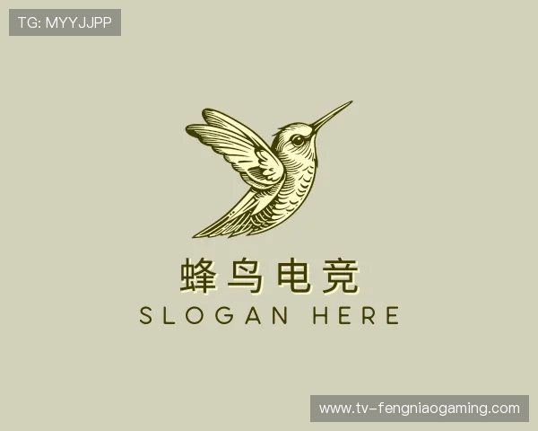 了解蜂鸟电竞中心